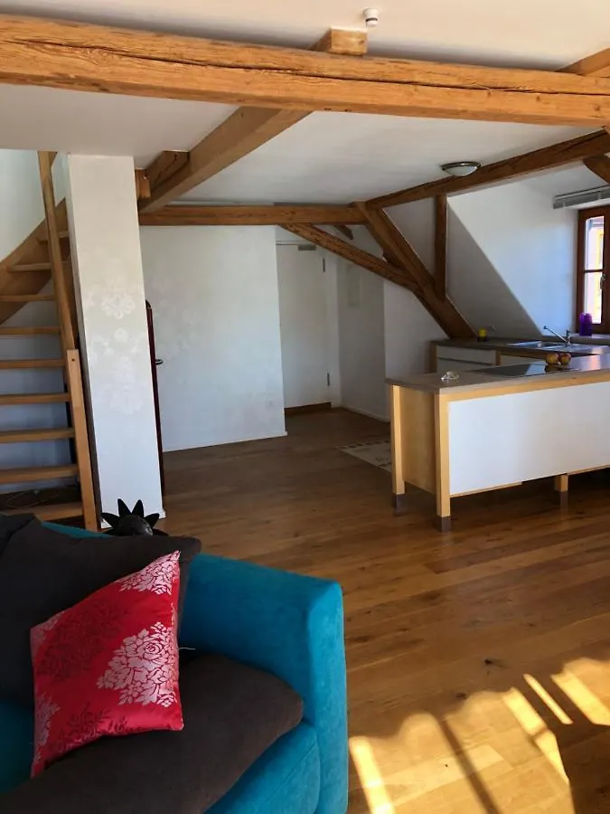 Fewo Pflaumi 1 Gunzenhausen Apartment
